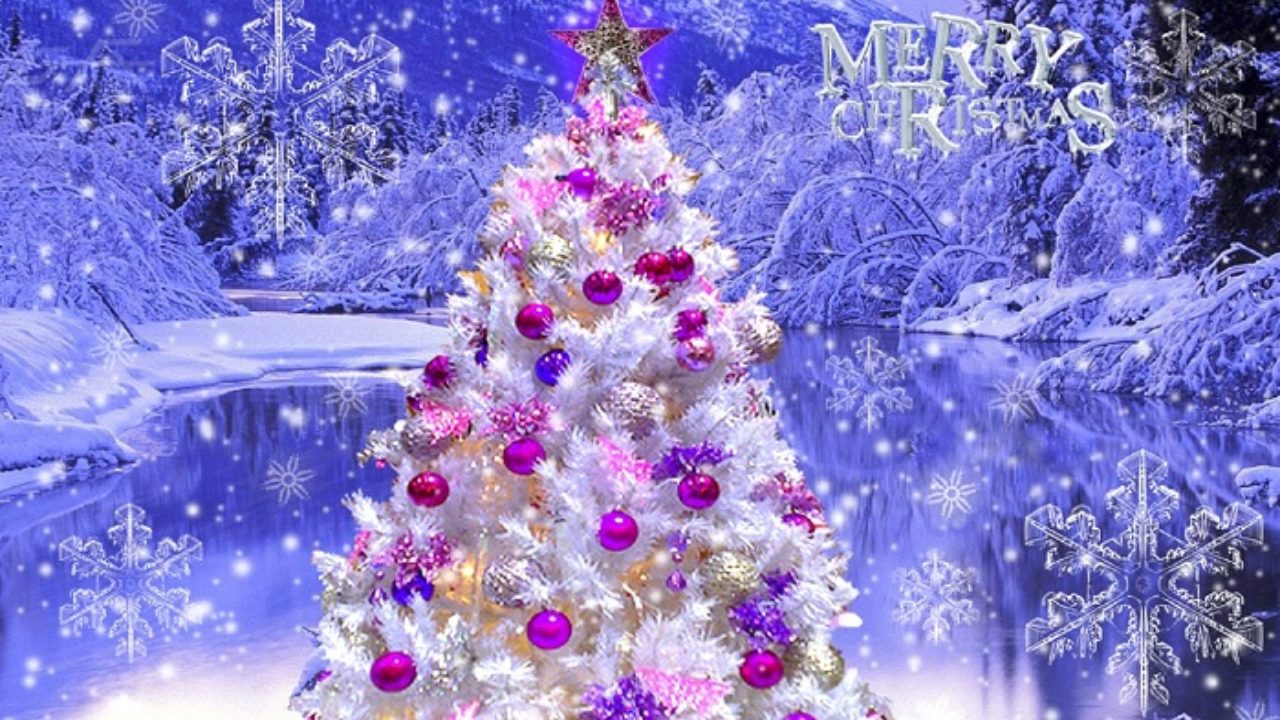 Christmas Tree Decoration Ideas Pictures Images Photos 2014 Free