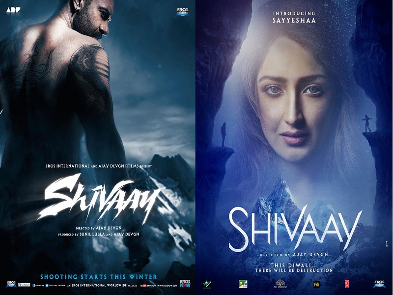 Shivaay 1 movie  720p movies