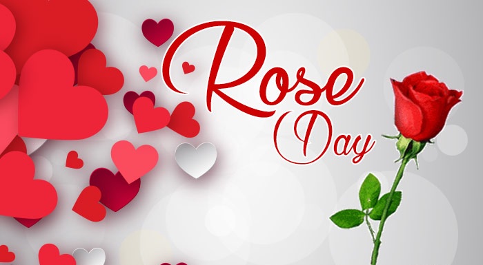 Happy Rose Day Images HD Wall Papers Pictures Free Download| Rose Day 2017  SMS Quotes Messages Wishes