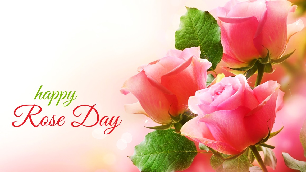 Happy Rose Day 2018 HD Images With Quotes – 7th Feb Rose Day Photos 3D  Pictures Download