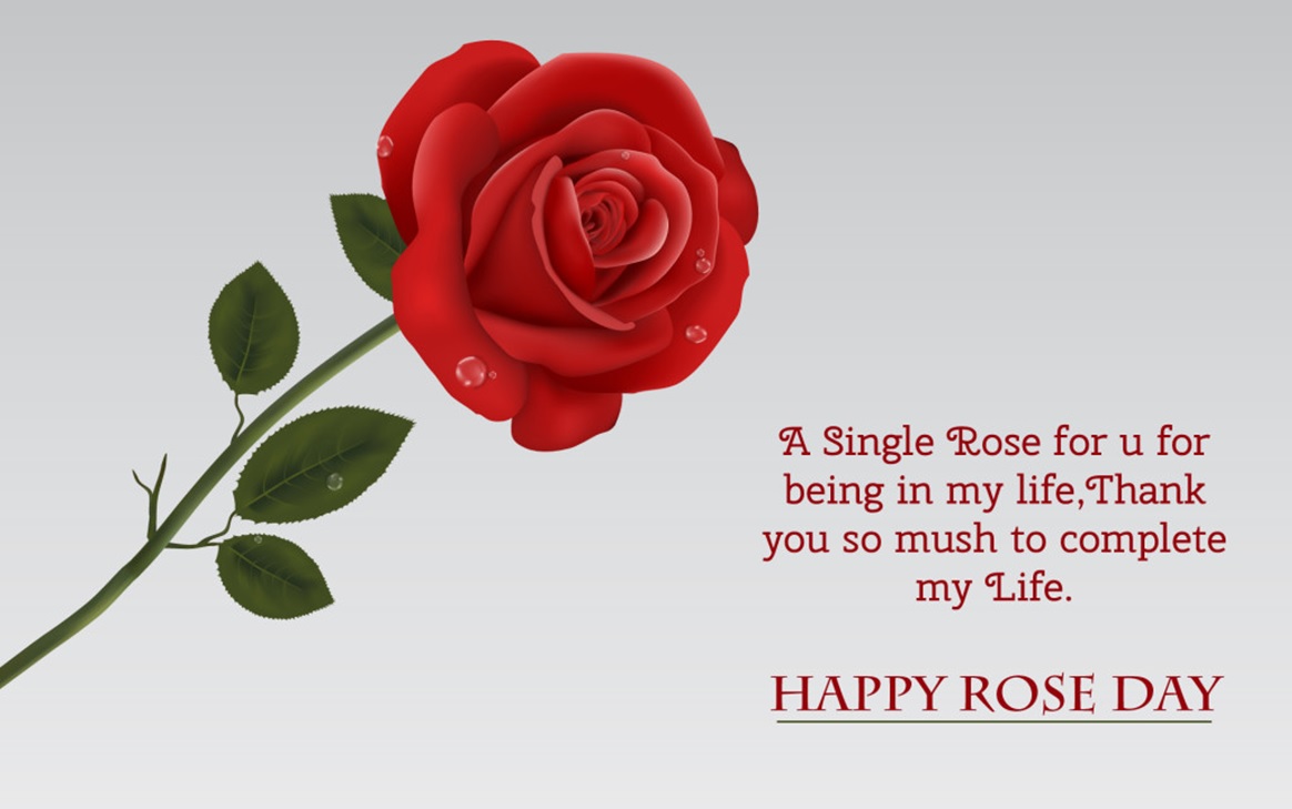 Rose Day 2018 Wishes SMS Messages For Friends/ GF/ BF In Hindi ...