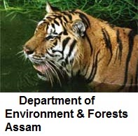 Assam Forest Department Recruitment 2014