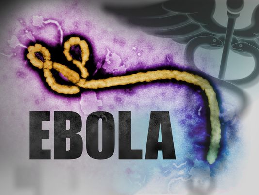 Ebola virus disease outbreaks