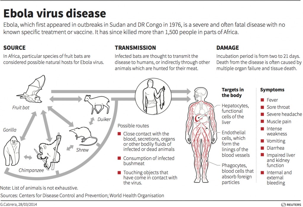 Ebola Transmission