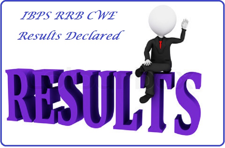 IBPS RRB CWE (Scale-I, II & III) Office Assistant Results Declared Check It Now