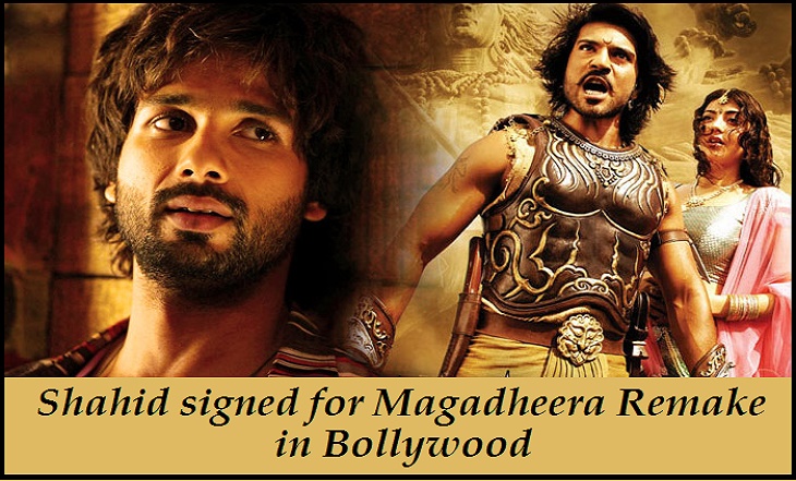 Shahid signed for Magadheera Remake in Bollywood