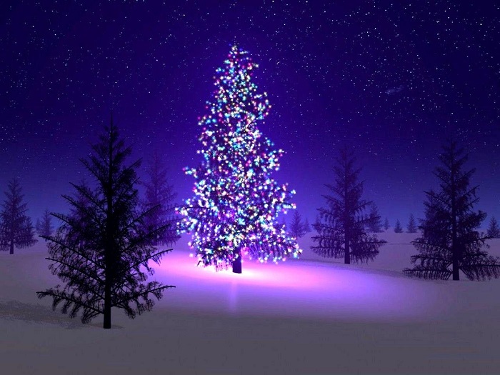 Christmas Tree Decoration Ideas Pictures Images Photos 2014 Free Download