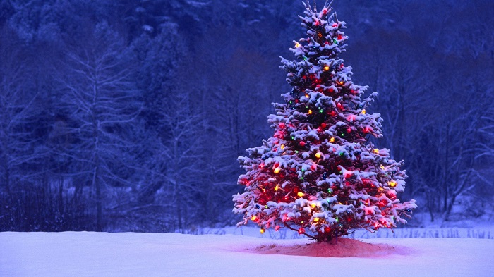 Christmas Tree Pictures Images Decorations & Photos 2014 Free Download