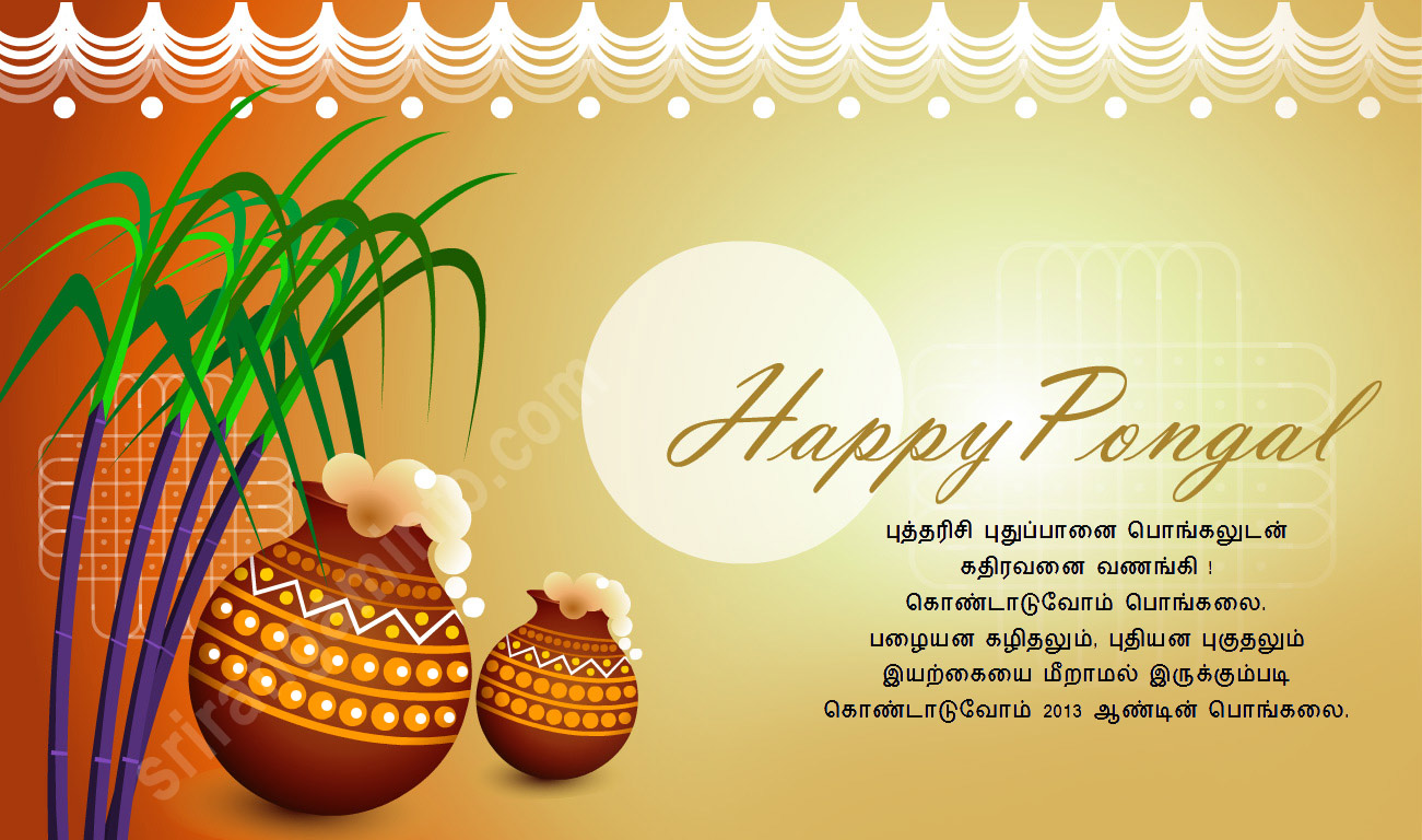 happy pongal wishes 2015