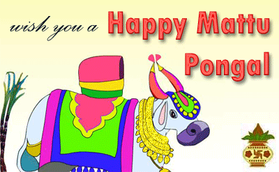Makara Sankranthi Lohri Pongal Animated Greeting Cards