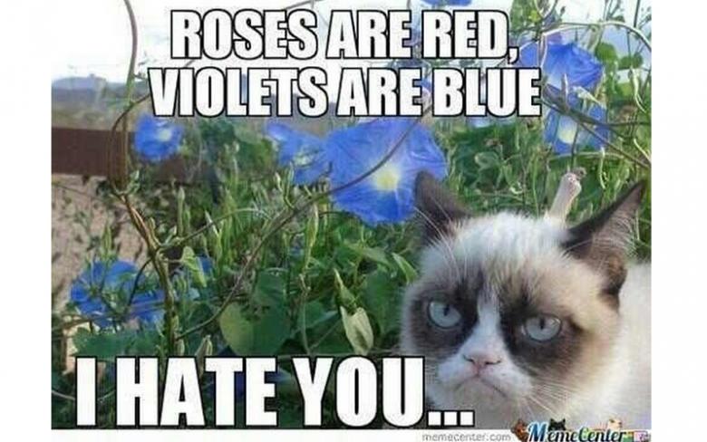 Funny Anti-Valentine’s Day I hate you Status for Singles