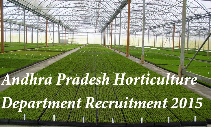 Andhra Pradesh Horticulture Department Recruitment 2015