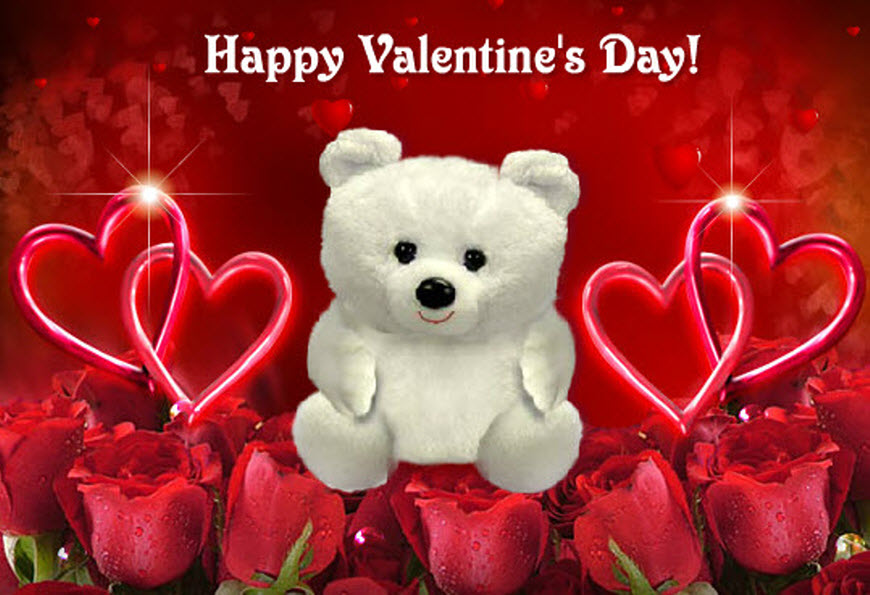 Valentines Day red background Image with white teddy,love hearts and red roses 
