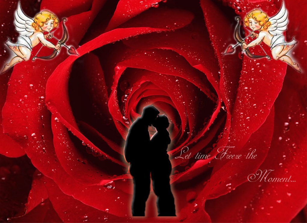 Valentines Day beautiful Red rose with couple kissing