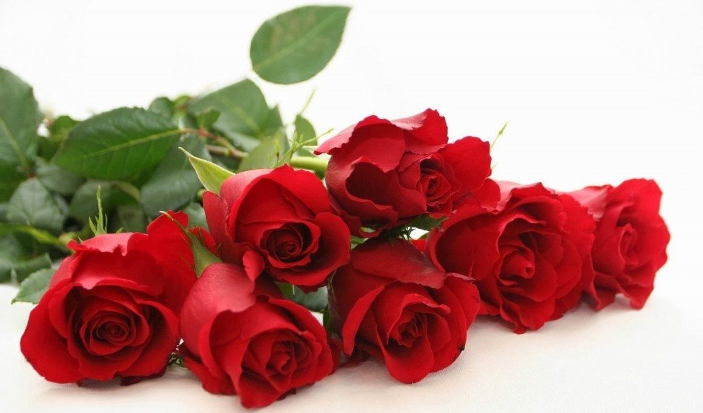 Happy-Rose-Day-2014-Wallpapers-Images