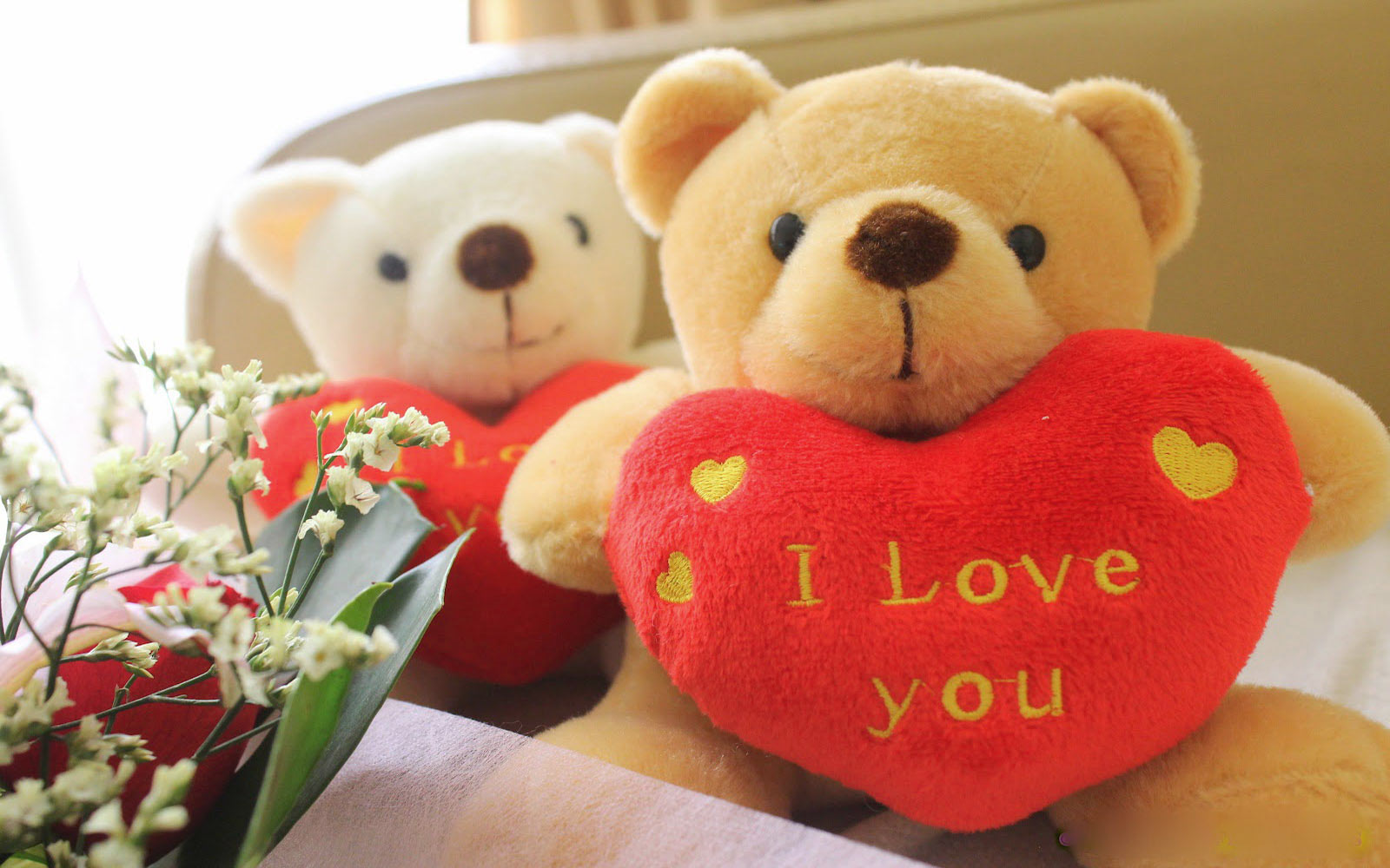 Teddy Day SMS HD Wallpapers Quotes Images Wishes Status | Happy Teddy