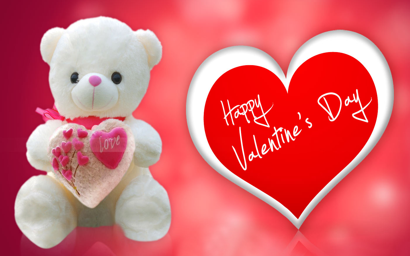 Happy valentines day Images with a white cute teddy bear