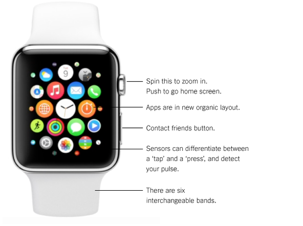 apple watch dial crown features