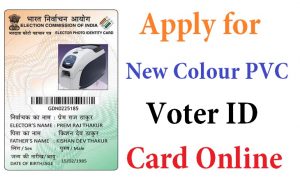 How to Apply for Colour Voter ID Card Online