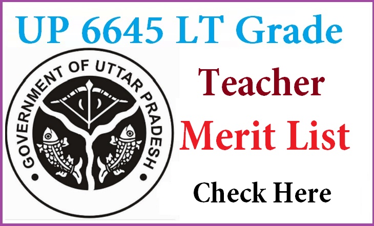 UP 6645 LT Grade Merit List 2015 