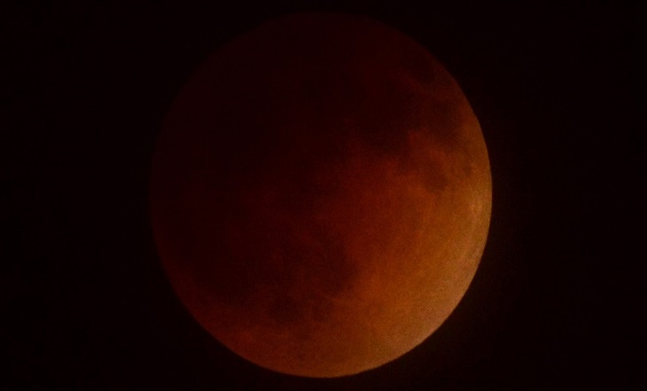 A lunar eclipse takes place over southern California as seen from the San Gabriel Valley, east of downtown Los Angeles early on April 15, 2014. The entire event was to be visible from North and South America, but sky watchers in northern and and eastern Europe, eastern Africa, the Middle East and Central Asia were out of luck, according to NASA.