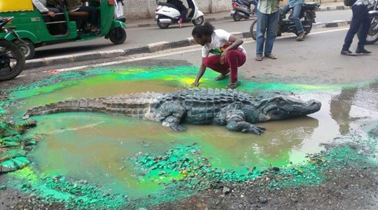 crocodile art on road