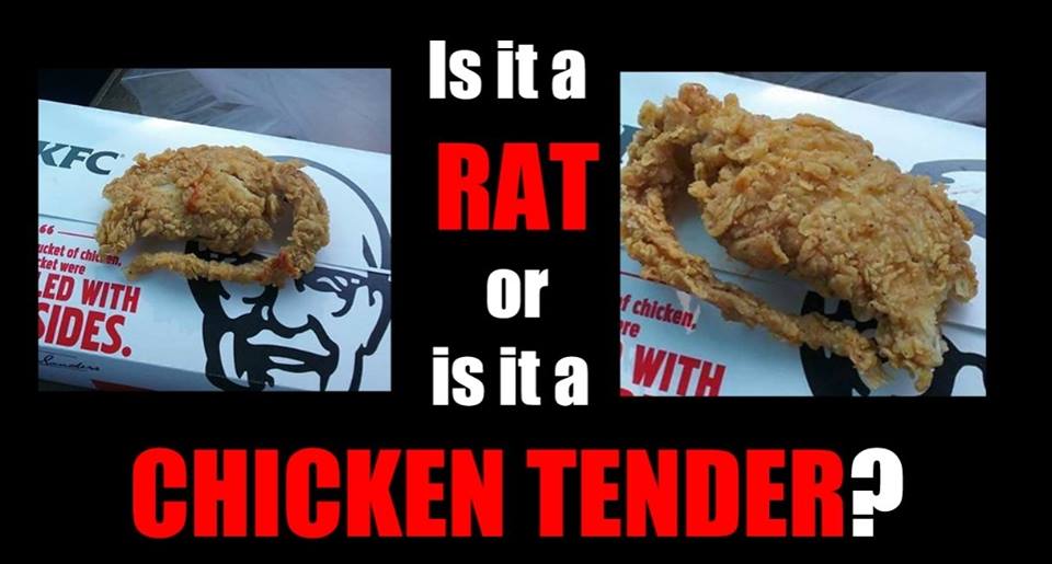 kfc rat chicken