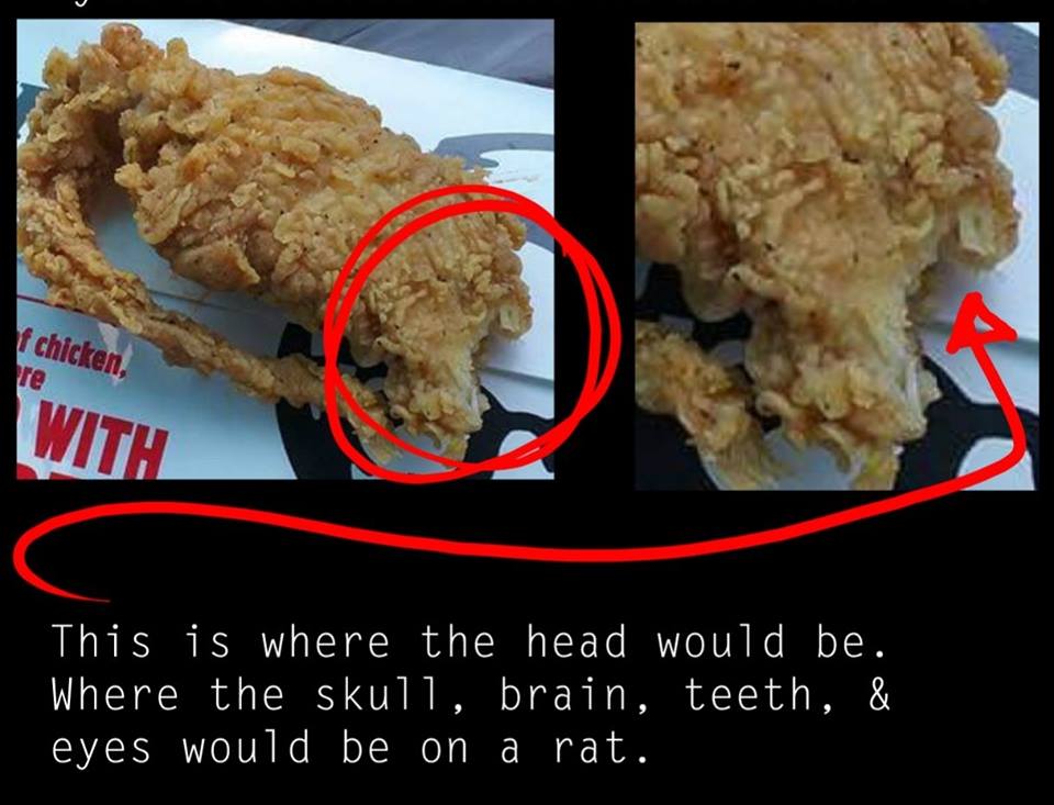 kfc rat chicken3