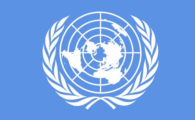UN officials about energy resources in India