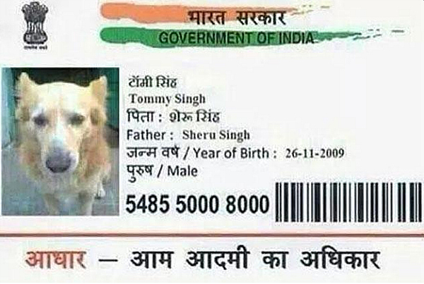 dog-aadhar-card