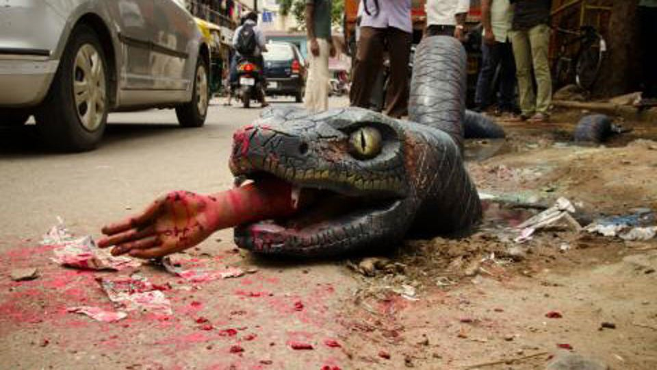 anaconda' found on Bangalore streets 