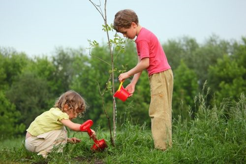 Protect the environment by planting Trees.