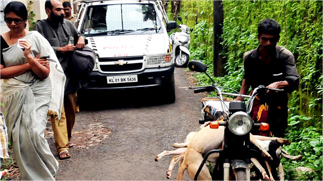 Mass killing of stray dogs triggers protest in Kerala