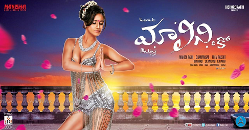 Malini & Co Movie Review, Rating - Poonam Pandey