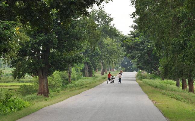 Maharashtra’s Mountain Man built 40 km roads in 57 years