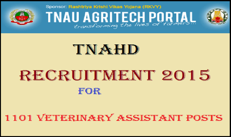 TNAHD Veterinary Assistant Recruitment Notification Apply for 1101 Posts @ agritech.tnau.ac.in