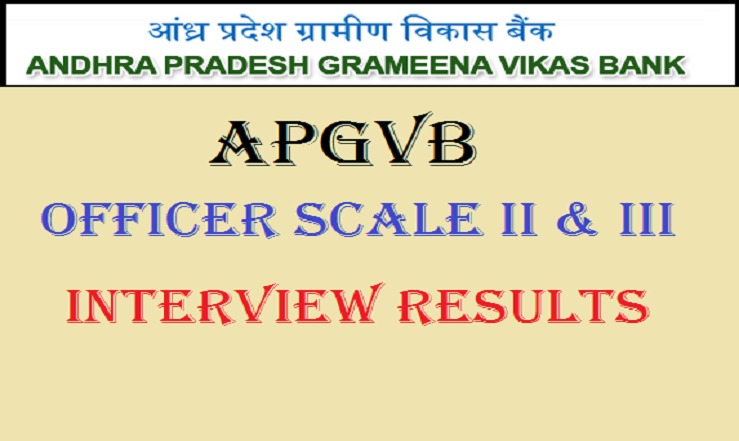 Andhra Pradesh Grameena Vikas Bank (APGVB) Officer Scale II and Officer Scale III Interview Results Declared: Check the List Here