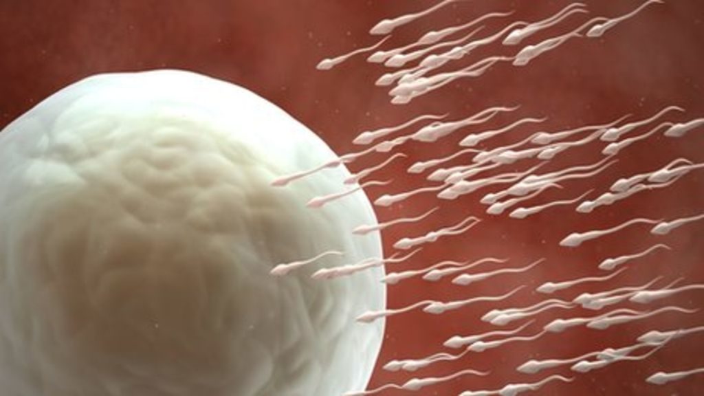 Lyonâ€™s Researchers were able to Create a Human Sperm in Lab