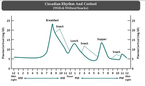 sleep cycle