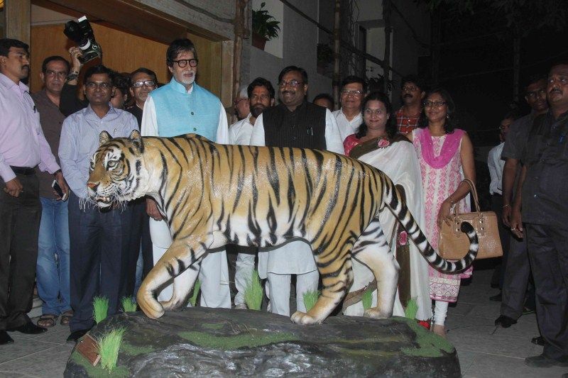 Amitabh Bachchan announced Maharashtra's Tiger Ambassador, spots real Tiger in Mumbai