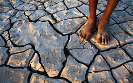 Battle against Climate change in Africa
