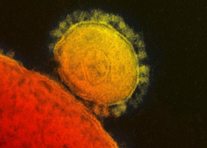 Coronavirus