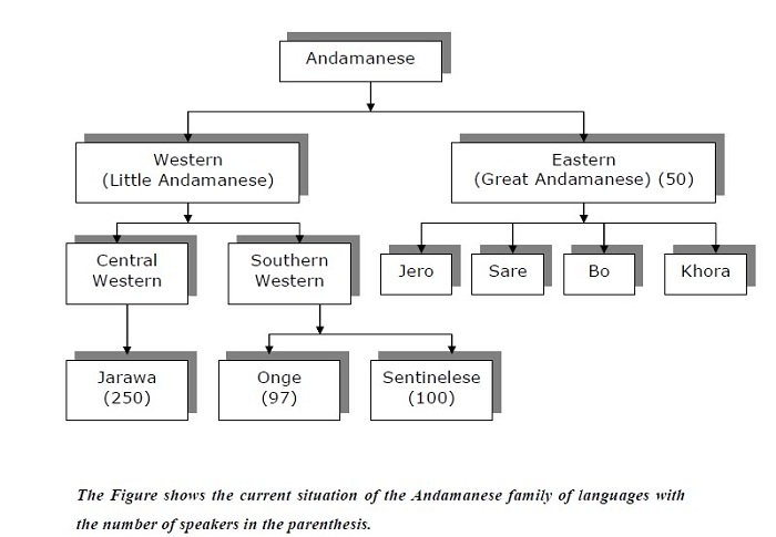 andamanese-family-of-languages