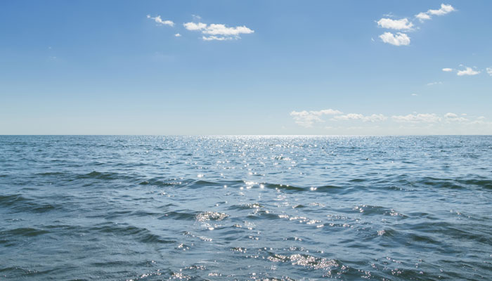 A Study Found Abrupt Warming Behind Ocean Dead Zones