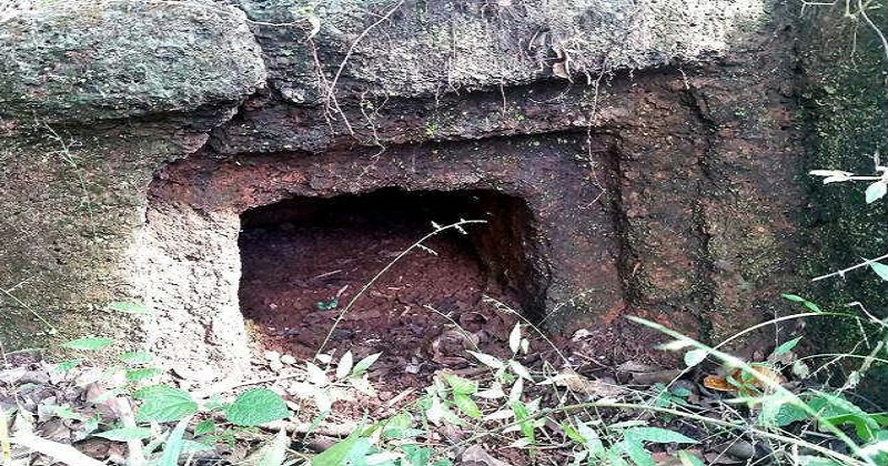 Prehistoric Celt Discovered in Northern Kerala