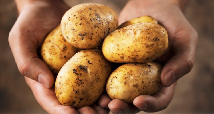 The Surprising Benefits of Raw Potato Juice (2)