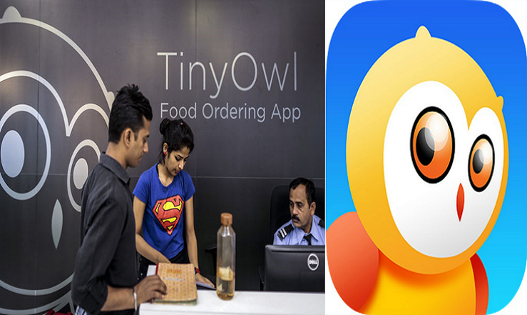 TinyOwl Dismissed Staff Decreases Operations to Turn Profitable