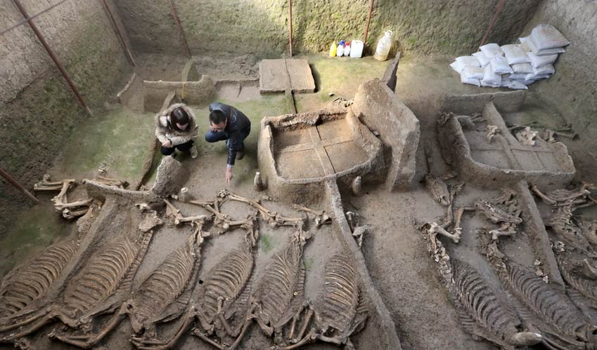 2,500-Year-Old Royal Tomb Complex with Horse Burial Pit Unearthed in China