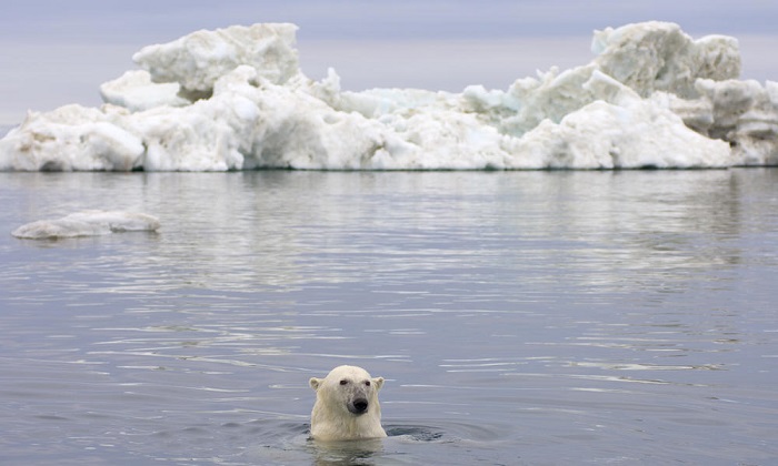 Black Carbon % increasing in Arctic Ocean