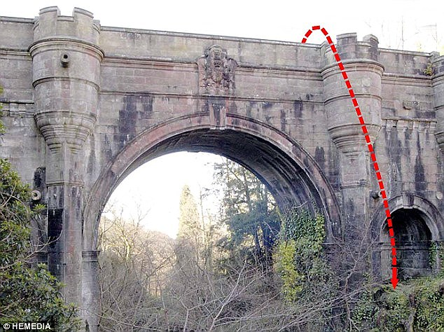 The Dog Suicide Bridge (5)